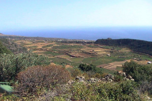 NASCE IL PROGETTO &ldquo;PROMED&rdquo; CON IL QUALE LA REGIONE SICILIA PROTEGGER&Agrave; L&rsquo;AMBIENTE DI LINOSA E PANTELLERIA ATTRAVERSO LA VITE E GRAZIE ALLA SPERIMETAZIONE DELL&rsquo;ISTITUTO DELLA VITE E DEL VINO
