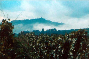 NASCE A MONTALCINO IL PRIMO &#8220;MUSIC WINE&#8221; DEL MONDO: NEI VIGNETI DEL BRUNELLO MUSICA ACCESA 24 ORE SU 24