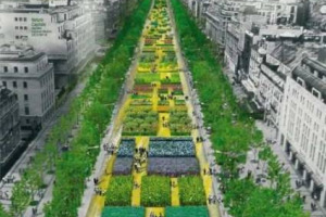 FRANCIA “VERDE” COME LA RABBIA DEGLI AGRICOLTORI CHE INVADONO PARIGI CON I TRATTORI CONTRO IL CROLLO DEI CEREALI, E COME LA SPERANZA NELLA NATURA, FESTEGGIATA IL 22 MAGGIO CON GLI ORTI NEGLI CHAMPS-ÉLYSÉES PER LA GIORNATA MONDIALE DELLA BIODIVERSITÀ