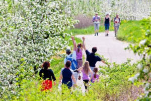 LA PRIMAVERA ENTRA NEL VIVO E GLI EVENTI ENOGASTRONOMICI SBOCCIANO INSIEME AI PRIMI FIORI. ECCO COSA PROPONE IN APRILE L’ITALIA DEL WINE & FOOD, A PARTIRE DALLE GITE FUORI PORTA A PASQUA, DEGUSTAZIONI, CORSI DI CUCINA ASPETTANDO LE PROSSIME ANTEPRIME