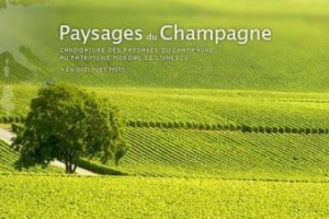 DOPO LA VAL D’ORCIA UN ALTRO TERRITORIO VITIVINICOLO CANDIDATO A PATRIMONIO MONDIALE DELL’UNESCO: CON VERSAILLES E MONT SAINT-MICHEL, I FRANCESI CANDIDANO A PATRIMONIO MONDIALE DELL’UMANITA’ “I PAESAGGI DELLO CHAMPAGNE”