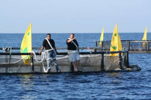 CRISI & PESCA: I PESCATORI INCATENATI IN MARE CONTRO I MAXICANONI. PESCA, UN SETTORE CHE VALE OGGI 400 MILIONI DI EURO. LA PROTESTA È PROMOSSA DA COLDIRETTI-IMPRESAPESCA NEL GOLFO DI ALGHERO, IN SARDEGNA
