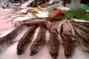 SODDISFAZIONE DELL’UNIONE EUROPEA PER RISULTATI OTTENUTI SUL RECUPERO DELLE RISORSE DEL MARE: DAL 2009 STOCK ITTICI NON SOVRASFRUTTATI SALITI DA 5 A 20. PORTATO A CASA UN RISULTATO CHE POTREBBE VALERE 135 MILIONI DI ENTRATE IN PIÙ PER LA PESCA