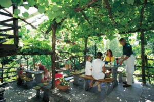 COLDIRETTI: IN 5,5 MILIONI IN ITALIA IN CAMPER. TANTE AZIENDE CON OFFERTA DI COLAZIONI AL SACCO O CON LA MESSA A DISPOSIZIONE SPAZI PER RISPETTARE ESIGENZE DI INDIPENDENZA DI CHI AMA PREPARARSI CIBI RICORRENDO ALL’ACQUISTO DEI PRODOTTI AZIENDALI