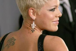 SUPERTUSCANS NEI BICCHIERI DI SEMPRE PIÙ NUMEROSE STAR DEL POP-ROCK A STELLE & STRISCE. È LA VOLTA DI PINK, CHE ELEGGE A VINI DEL CUORE SASSICAIA DELLA TENUTA SAN GUIDO, SOLAIA E TIGNANELLO DELLA MARCHESI ANTINORI ...