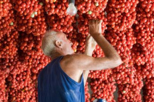34.000 POSTI DI LAVORO E FATTURATO DI 3 MILIARDI, IL 60% DEL TOTALE NAZIONALE (5,2 MILIARDI) DEL COMPARTO: ECCO I DATI ANICAV, ASSOCIAZIONE NAZIONALE INDUSTRIALI CONSERVE ALIMENTARI VEGETALI. NASCE IL PRIMO POLO DISTRETTUALE DEL CENTRO-SUD ITALIA