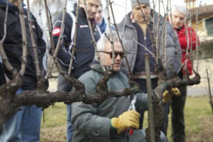 QUANDO SI PARLA RICERCA NEL MONDO DEL VINO, SI PRENDONO SEMPRE AD ESEMPIO LUOGHI IMPORTANTI PER LA PRODUZIONE, COME LA FRANCIA, LA CALIFORNIA, L&rsquo;AUSTRALIA, L&rsquo;ITALIA. MA C&rsquo;&Egrave; ANCHE IL &ldquo;MODELLO SVIZZERO&rdquo;, COME RACCONTA A WINENEWS MARCO SIMONIT