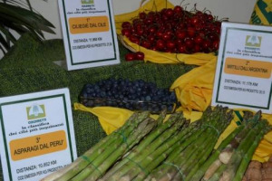 Ciliege cilene, mirtilli argentini, asparagi peruviani, noci californiane, rose ecuadoriane, more messicane, anguria brasiliana, meloni di Guadalupa, melograni israeliani e fagiolini egiziani: è la top 10 dei cibi che inquinano di più by Coldiretti