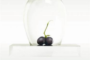 “WORLDWIDE CONVENTION FOOD & WINE”: “E’ L’IDENTITÀ, L’ARMA VINCENTE DEL VINO ITALIANO NEL MONDO”: COSI’ IL SOTTOSEGRETARIO GUIDO TAMPIERI. MA I TRADE ANALYST CHIEDONO “L’ITALIA RISCHIA DI PERDERE TERRENO SE NON SI RINNOVA NEL MARKETING COLLETTIVO …”