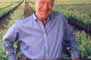 COSTELLATION BRANDS FA ROTTA SU MONDAVI: OFFERTA DA 1,3 MILIARDI SUL PRODUTTORE CHE, IN ITALIA, HA UNA JOINT VENTURE CON FRESCOBALDI. PERNOD, ALLIED-DOMECQ E DIAGEO PENSANO AD UNA CONTROMOSSA