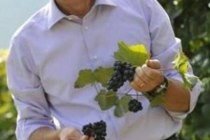 RUMORS: I PREMI SPECIALI DEI &ldquo;VINI D&rsquo;ITALIA&rdquo; DEL GAMBERO ROSSO. CANTINA? VALENTINI. IL MIGLIOR ROSSO? BRUNELLO DI MONTACINO RISERVA BIONDI SANTI. BIANCO? SYLVANER R K&Ouml;FERERHOF. VINO DOLCE? PASSITO ARROCCO FATTORIA ZERBINA. ENOLOGO? RUBEN LARENTIS ...