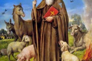 CANI, GATTI, MA ANCHE PECORE, ASINELLI E COSÌ VIA, OGGI, ALLA CORTE DI PAPA BENEDETTO XVI. A CONDURRE L’ETEROGENEO “GREGGE” IN PIAZZA SAN PIETRO, LA COLDIRETTI, NELLA GIORNATA IN CUI SI CELEBRA SANT’ANTONIO ABATE, PROTETTORE DEGLI ANIMALI