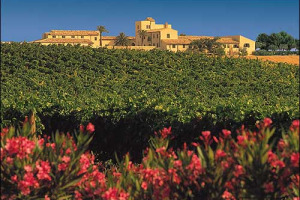 FEUDO PRINCIPI DI BUFERA: DIECI ANNI DI SUCCESSI “MADE IN SICILIA” FIRMATI ZONIN. LA SPLENDIDA TENUTA FESTEGGIA CON SUCCESSO DI VENDITE, NUOVO MANAGEMENT E UN GRANDE VINO PASSITO. L’ESEMPIO DI ECCELLENZA, CON LA RINASCITA DI UN BORGO E IL RILANCIO DI UN’A FEUDO PRINCIPI DI BUFERA: DIECI ANNI DI SUCCESSI “MADE IN SICILIA” FIRMATI ZONIN. LA SPLENDIDA TENUTA FESTEGGIA CON SUCCESSO DI VENDITE, NUOVO MANAGEMENT E UN GRANDE VINO PASSITO. L’ESEMPIO DI ECCELLENZA, CON LA RINASCITA DI UN BORGO E IL RILANCIO DI UN’A