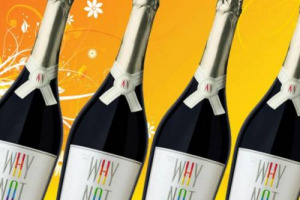 PU&Ograve; UN VINO AVERE PREFERENZE SESSUALI? SECONDO ERICA ROVERTER, GIOVANE IMPRENDITRICE ARGENTINA S&Igrave;, TANTO CHE IL SUO &ldquo;WHY NOT&rdquo;, UNO SPUMANTE REALIZZATO CON IL METODO CHARMAT A BASE DI UVE PINOT NERO, &Egrave; DICHIARATAMENTE &ldquo;GAYFRIENDLY&rdquo;