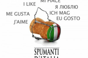 LA PIU’ BELLA ED ELEGANTE BOTTIGLIA DI BOLLICINE “MADE IN ITALY”? LA SCEGLIERA’ “BOLLICINE TOPLINE”, IL PRIMO CONCORSO DI PACKAGING RIGOROSAMENTE RISERVATO ALLA SPUMANTISTICA ITALIANA, PROMOSSO DAL FORUM DEGLI SPUMANTI D’ITALIA