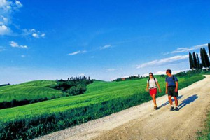 NEL TERRITORIO CHIANTIGIANO ANCHE LE STRADE BIANCHE RAPPRESENTANO UN ENORME VALORE AGGIUNTO: PER PRIMA IN ITALIA, LA BANCA DEL CHIANTI FIORENTINO VARA UNO SPECIALE FINANZIAMENTO PER LE AZIENDE CHE SI OCCUPANO DELLA LORO MANUTENZIONE