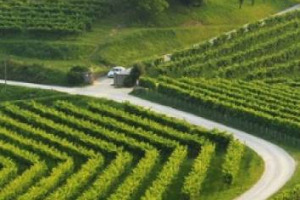 &ldquo;Bene una legge ad hoc per enoturismo, ma non a testi frammentati, e vogliamo essere coinvolte per il nostro ruolo fondamentale&rdquo;: le Strade del Vino attaccano. &ldquo;L&rsquo;atteggiamento di rottura del Movimento Turismo Vino non &egrave; costruttivo&rdquo;