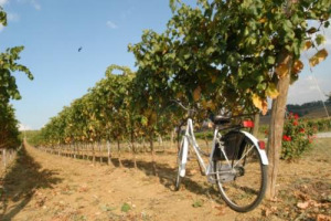 ITALIA REGINA MONDIALE DELL&rsquo;ENOTURISMO. LO DICE LA STAMPA INTERNAZIONALE. E PER GLI ITALIANI I SAPORI BATTONO L&rsquo;ARTE. COS&Igrave; LE RICERCHE DI &ldquo;OSSERVATORIO GIORNALISTICO NATHAN IL SAGGIO&rdquo; E &ldquo;ISTITUTO PIEPOLI&rdquo; PROMOSSE DA MARCHESI DE&rsquo; FRESCOBALDI