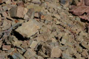 CONSUMO DEL SUOLO: IL MINISTRO DELLE POLITICHE AGRICOLE, NUNZIA DE GIROLAMO: “IL PROBLEMA DEL CONSUMO DEL SUOLO NON PUÒ ATTENDERE OLTRE ... APPROVARE PRESTO LA LEGGE”