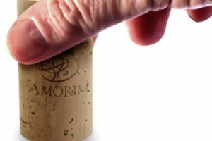 IL TAPPO DI SUGHERO &Egrave; SEMPRE PI&Ugrave; ECOFRIENDLY: LO DICE IL &ldquo;SUSTAINABILITY REPORT&rdquo; N. 6 DELLA PORTOGHESE AMORIM, LEADER MONDIALE DEL SETTORE. CHE IN 5 ANNI HA DIMEZZATO L&rsquo;IMPATTO AMBIENTALE. E NEL 2011 HA RICICLATO IL 10,4% DI TAPPI IN PI&Ugrave; DEL 2010