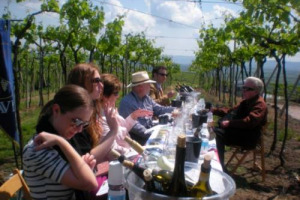 Non riuscite a seguire la dieta? Quanto si mangia a tavola dipende più dai comportamenti dei commensali che dalla propria volontà o dalla fame. A dirlo Lenny Vartanian, psicologo della salute dell’University of New South Wales a Sydney (Australia)