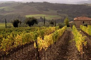 BRUNELLO & MONTALCINO NON PERDONO APPEAL SU MERCATI E COME ATTRATTORI DI INVESTIMENTI: CANTINA E VIGNETI (12 ETTARI) DELLA TENUTA OLIVETO ACQUISTATI DALLA SOCIETA&rsquo; PANAMENSE SOLEYA INTERNATIONAL CORPORATION PER 8 MILIONI DI EURO