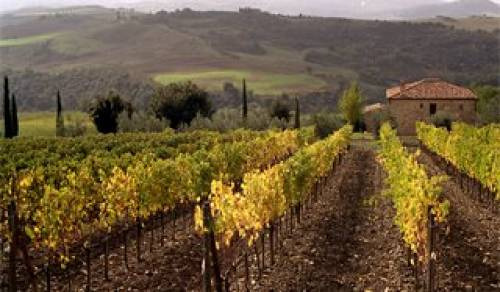 Tenuta Oliveto comprata da oleya International Corporation di Panama