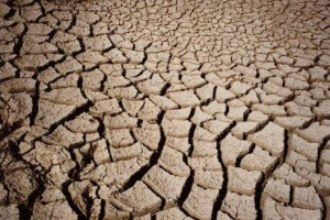 #salvailsuolo: l’appello per la Giornata della Terra delle 500 associazioni di People4soil alla Commissione Ue, per fermare il consumo di suolo e riconoscerlo “bene comune”. Ogni anno in Europa il cemento erode 1.000 chilometri quadrati di terra