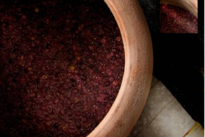 Da qualche anno, sulla scena enoica internazionale, &egrave; tornata una tecnica quasi scomparsa: l&rsquo;uso delle giare di terracotta, in cui fermentare ed affinare il vino, al centro della convention &ldquo;La Terracotta e il Vino&rdquo; (Impruneta, 22-23 novembre)