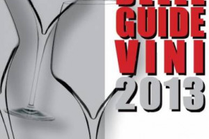 SASSICAIA 2009, GRATTAMACCO 2009, BAROLO CANNUBI BOSCHIS 2008 LUCIANO SANDRONE, AMARONE 2005 BERTANI, SAN LEONARDO 2007, BEN RY&Egrave; 2010: ECCO &ldquo;I MAGNIFICI 6&rdquo; SECONDO &ldquo;IL TOP DELLE GUIDE DEI VINI&rdquo; 2013 DI &ldquo;CIVILT&Agrave; DEL BERE&rdquo;