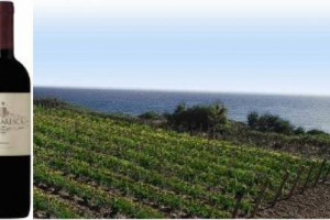 BERE BENE SOTTO I 15$: ECCO LA &ldquo;TOP 100 BEST BUYS&rdquo; DI &ldquo;WINE ENTHUSIAST&rdquo;, UNA DELLE RIVISTE TOP D&rsquo;AMERICA. PRIMO DEGLI ITALIANI IL NEPRICA 2009 DI TORMARESCA, CANTINA PUGLIESE DI ANTINORI. 7 GLI ITALIANI IN CLASSIFICA