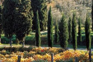 LA GUARDIA DI FINANZA DI SIENA SEQUESTRA CHIANTI DOCG E IGT TOSCANO. 17 INDAGATI. LA PROCURA DI SIENA INDAGA ENOLOGI E IMPRENDITORI VINICOLI ANCHE DI LIVELLO INTERNAZIONALE. LA NOTA DELLA GUARDIA DI FINANZA