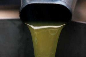 “L’INTESA DI FILIERA SUL SISTEMA DI QUALITÀ DEVE ESSERE CONSIDERATA PUNTO DI PARTENZA PER UN NUOVO DIALOGO TRA PRODUTTORI, INDUSTRIA, COMMERCIO E GDO, A TUTELA DEL VERO MADE IN ITALY”. PAROLA DI MASSIMO GARGANO, PRESIDENTE DI UNAPROL