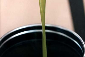 “I SOLDI DI PRODUTTORI E CONTRIBUENTI ITALIANI SOSTENGONO LA PROMOZIONE DELL’OLIO SPAGNOLO IN INDIA, CINA E RUSSIA”: IL CONSORZIO EXTRAVERGINE DI QUALITÀ PUNTA IL DITO SU “OLIVEOILFROMSPAIN”, LA CAMPAGNA CHE CON FONDI UE PROMUOVE SOLO L’OLIO SPAGNOLO