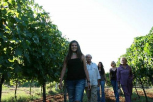 Dal Veneto all&rsquo;Umbria, dalla Toscana alla Puglia, tra corsi per &ldquo;Apprendisti vignaioli&rdquo; e passeggiate in vigna con Pinocchio, anche i pi&ugrave; piccoli sono protagonisti nelle &ldquo;Cantine Aperte in Vendemmia&rdquo; del Movimento Turismo del Vino (20 e 27 settembre)