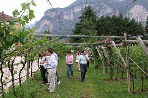 RIAPERTO DAL MINISTRO BRAMBILLA, ITALIA.IT, CHE “DIMENTICA TURISMO RURALE, HA TESTI BANALI, ERRORI, PARTI NON TRADOTTE E AGGIORNATE”, DICE AGRITURIST. E LA FIPE: “IN FRANCIA IL GOVERNO HA FAVORITO LA RISTORAZIONE, RIDUCENDO L’IVA. DA NOI INVECE ...”