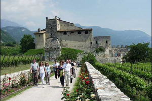 LE AZIENDE VITIVINICOLE PIU’ APPETIBILI PER GLI ENOTURISTI? PLANETA, VENICA, BERLUCCHI, DONNAFUGATA, ZONIN … LO RIVELA LA GUIDA “LE DIMORE DI BACCO” (SIMPOSIO/CITTA’ DEL VINO). I COMMENTI DI ORNELLA VENICA E CRISTINA ZILIANI (BERLUCCHI)