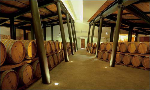 Umani Ronchi: l’interno della nuova cantina