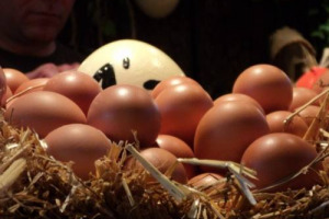 1 MILIARDO DI EURO SPESO PER LA PASQUA IN TAVOLA, CON AGNELLO E UOVA PROTAGONISTE ASSOLUTE. E A PASQUETTA PIC-NIC PER 4 ITALIANI SU 10, A BASE DI “CUCINA DEL GIORNO” DOPO, CON TANTA ATTENZIONE ALLO SPRECO. A DIRLO LA COLDIRETTI