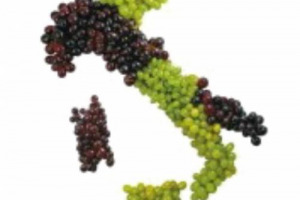LA VENDEMMIA &Egrave; ANCORA LONTANA ... MA I CONSORZI DELLE DENOMINAZIONI PI&Ugrave; IMPORTANTI D&rsquo;ITALIA, SENTITI DA WINENEWS, SONO GI&Agrave; A LAVORO SULLE RESE PER ETTARO, PER AUMENTARE LA QUALIT&Agrave; E PER SUGGERIRE UN EQUILIBRIO TRA DOMANDA ED OFFERTA