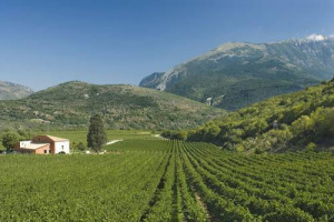 ACQUA PURA DI SORGENTE E UN MONTEPULCIANO D’ABRUZZO CHE SCOPRE LE SUE RADICI: L’ANTICO CONFLITTO ACQUA/VINO TROVA FINALMENTE PACE TRA LE MONTAGNE ABRUZZESI. VALLE REALE, UN’AZIENDA, UNA SORGENTE, UN’ACQUA, UN VINO
