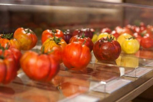 SCOPERTO UN POTENTE ANTIOSSIDANTE FINORA SCONOSCIUTO NEL POMODORO. È 14 VOLTE PIÙ POTENTE DEL RESVERATROLO, 10 VOLTE PIÙ DELLA VITAMINA C E 4,5 VOLTE PIU’ DELLA VITAMINA E. BENEFICI IN PIU' CAMPI DALL’INDUSTRICA FARMACEUTICA A QUELLA COSMETICA