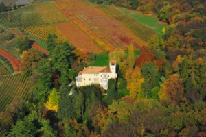 DIFFICILMENTE UN VINO RIESCE A RIMANERE FEDELE A SE STESSO NELL&rsquo;ARCO DEI DECENNI, MA CE N&rsquo;&Egrave; UNO CHE, SECONDO LA WINE WRITER INGLESE JANCIS ROBINSON &ldquo;MOSTRA IL TIPO DI ARMONIA CHE DOVREBBERO AVERE TUTTI I GRANDI CRU BORDOLESI&rdquo;. &Egrave; IL SAN LEONARDO
