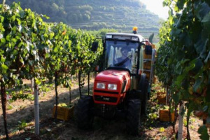 IL FUTURO DELL’AGRICOLTURA E DELLA VITICOLTURA SARÀ DOMINATO DALLE “MACCHINE FANTASMA”. FORMULA AD EFFETTO PER RACCONTARE LA CONCRETA E AVANZATISSIMA REALTÀ DELL’AGRICOLTURA DI PRECISIONE, DOVE L’ITALIA È LEADER, PROTAGONISTA A FIERAGRICOLA, A VERONA