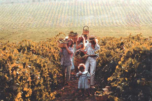 ARCHEOLOGIA & VINO: I RALLO FINANZIANO SCAVI ARCHEOLOGICI