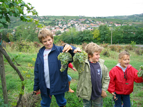 La vendemmia dei bambini
