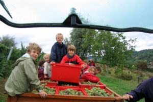 L’“ORA DEL GUSTO” NELLE SCUOLE ITALIANE? ANCHE LA SETTIMANA DEI VINI NELLE MENSE UNIVERSITARIE. L’IDEA NASCE A MONTEFALCO NELLA PRIMA “MASTER CLASS” DEL VINO APERTA AI GIOVANI