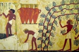 BERE UN VINO DELL&rsquo;ANTICO EGITTO? OGGI SI PU&Ograve;, CON I NETTARI PRODOTTI IN MEDIO ORIENTE. FATTI CON METODI ANTICHISSIMI E VITIGNI MILLENARI, I VINI DELL&rsquo;ANTICHIT&Agrave; SONO POCO CORPOSI, MINERALI E CON NOTE DI TERRA ...