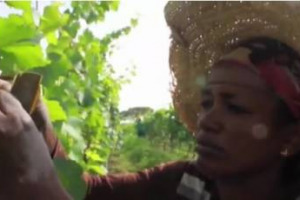 Il colosso francese Castel ha imbottigliato la sua prima annata di vino prodotto in Etiopia. Il direttore della cantina Spillebout: &ldquo;puntiamo a vendere la met&agrave; della produzione al mercato interno e l&rsquo;altra met&agrave; a etiopi che vivono all&rsquo;estero&rdquo;