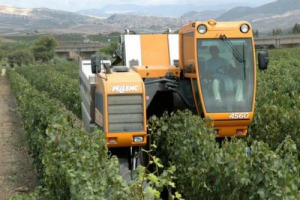 VENDEMMIATRICI MECCANICHE? PAS EN BOURGOGNE. L&rsquo;UNIONE DEI GRANDS CRUS VIETER&Agrave;, GI&Agrave; DALLA PROSSIMA VENDEMMIA, L&rsquo;USO DELLE VENDEMMIATRICI MECCANICHE IN 5 SOTTOZONE PI&Ugrave; IMPORTANTI DELLA REGIONE: ROMAN&Eacute;E, GRANDE RUE, ROMAN&Eacute;E-CONTI, LA TACHE, CLOS DE TART